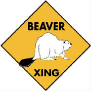 beaver2.jpg